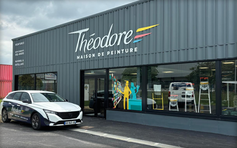 THEODORE MAISON DE PEINTURE